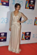 Deepika Padukone at Zee Awards red carpet in Mumbai on 6th Jan 2013 (214).JPG